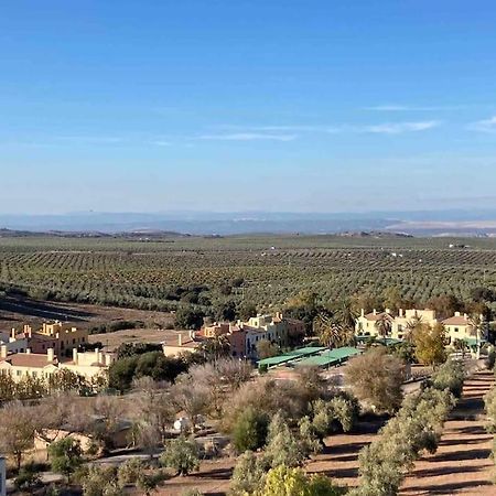 Casa Picual, Mancha Real, Jaenヴィラ エクステリア 写真